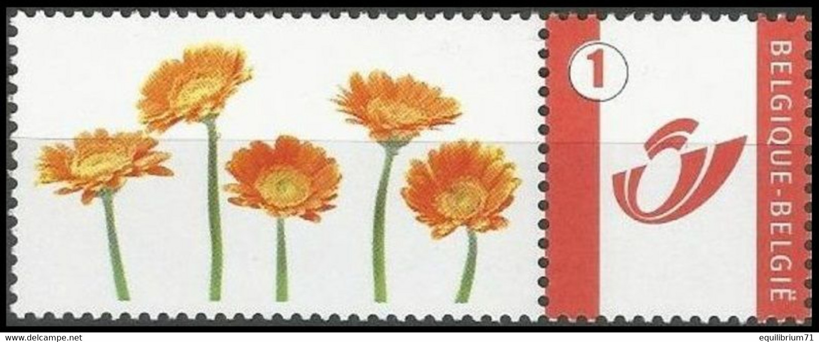 DUOSTAMP** / MYSTAMP** - Gerbera - Asteraceae - Mutisieae - Ungebraucht