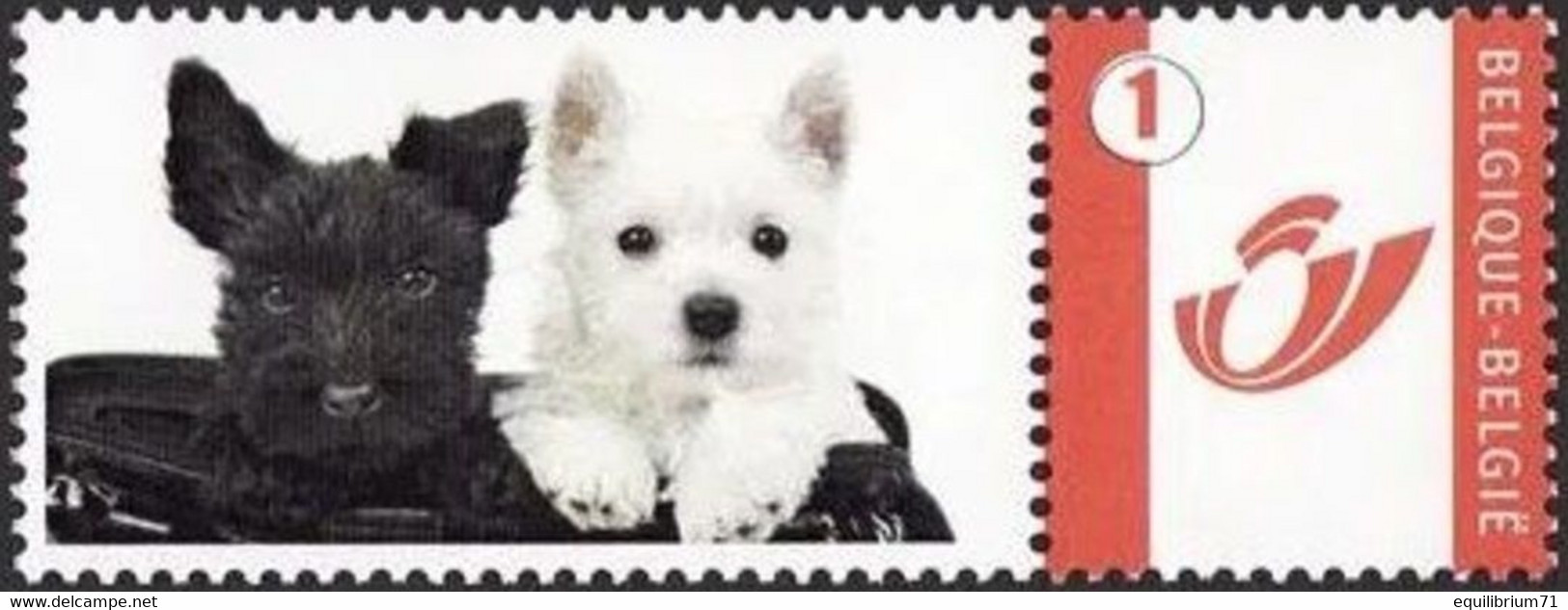 DUOSTAMP** / MYSTAMP** - Chien  / Hond / Hund / Dog - Ungebraucht