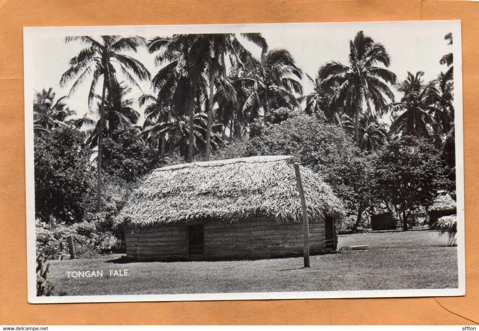 Tonga Old Postcard - Tonga
