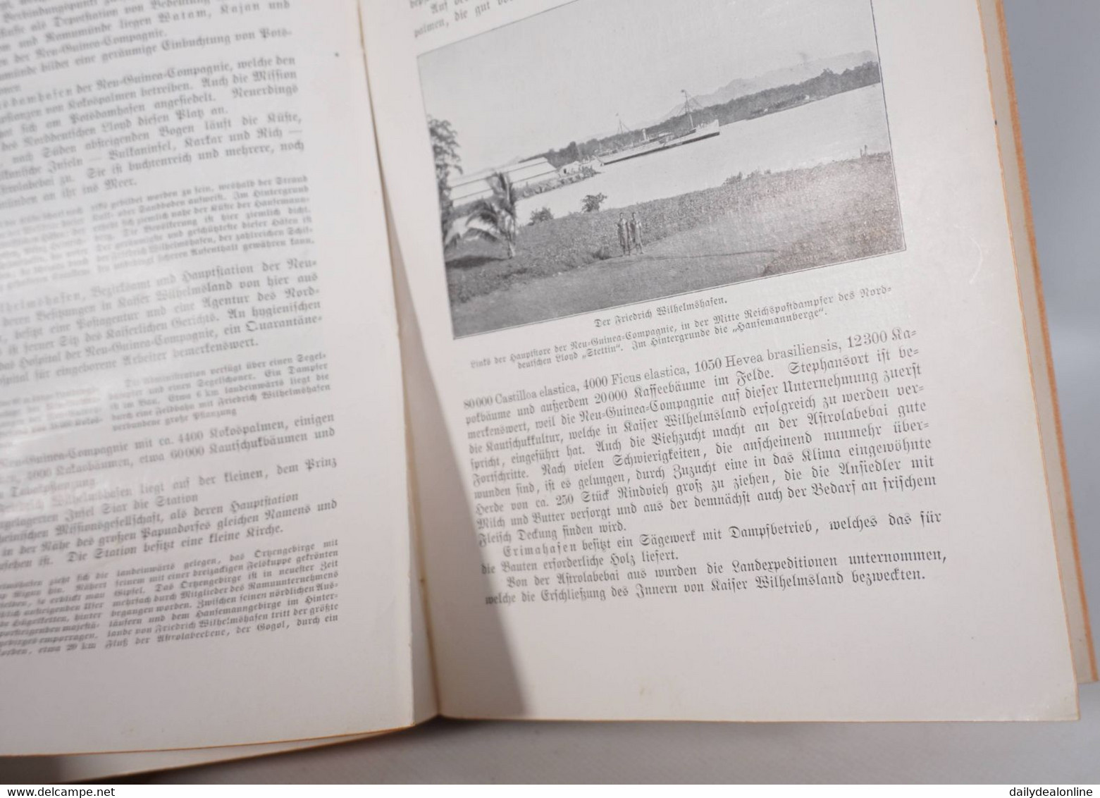 Fachbuch Das Überseeische Deutschland Kolonien Militaria Buch der Hitlerjugend Ellwangen Unterbann I/123