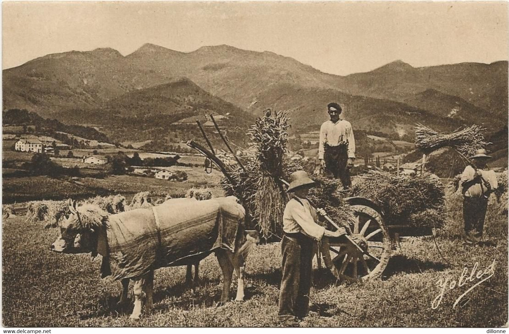 D 64   CHARGEMENT DE GERBES De BLE Au Pays Basque (Environ De St Jean Pied De Port) - Attelages