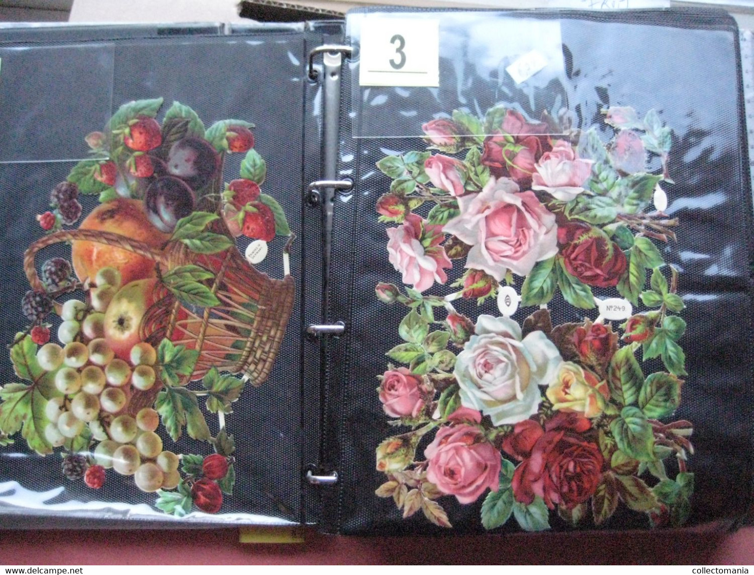 SCRAPS_MAP27 COLLECTION Anno 1880 à 1900 Litho Prints (count Yourself ) Big FRUIT & Flowers Fleurs Bloemen - Flowers