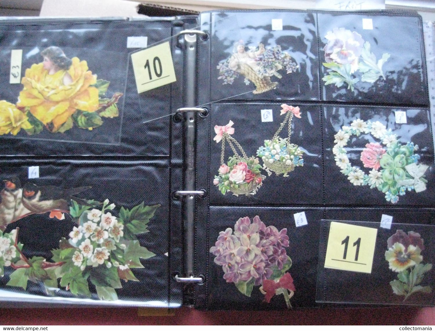 SCRAPS_MAP27 COLLECTION anno 1880 à 1900 Litho prints (count yourself ) Big FRUIT & Flowers Fleurs bloemen