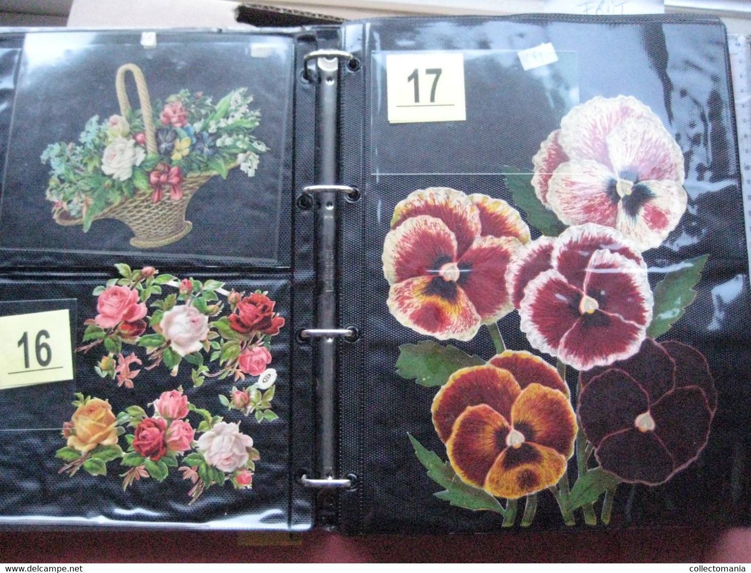 SCRAPS_MAP27 COLLECTION anno 1880 à 1900 Litho prints (count yourself ) Big FRUIT & Flowers Fleurs bloemen