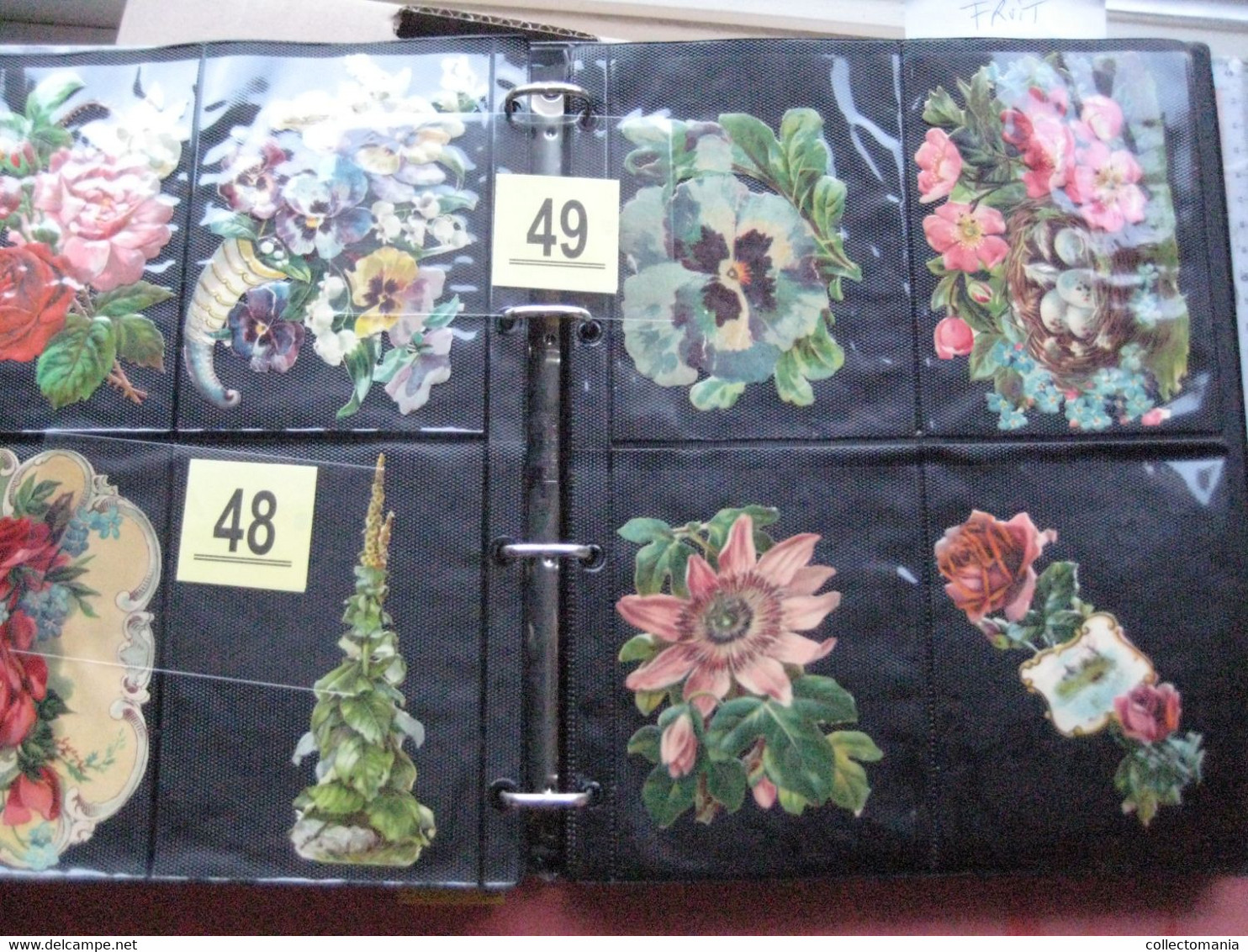 SCRAPS_MAP27 COLLECTION anno 1880 à 1900 Litho prints (count yourself ) Big FRUIT & Flowers Fleurs bloemen