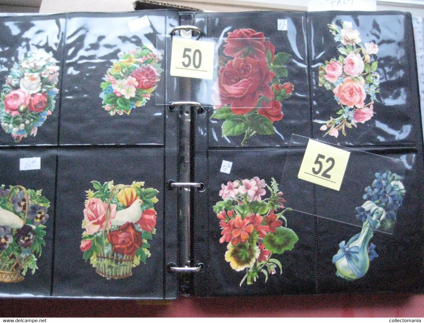 SCRAPS_MAP27 COLLECTION anno 1880 à 1900 Litho prints (count yourself ) Big FRUIT & Flowers Fleurs bloemen