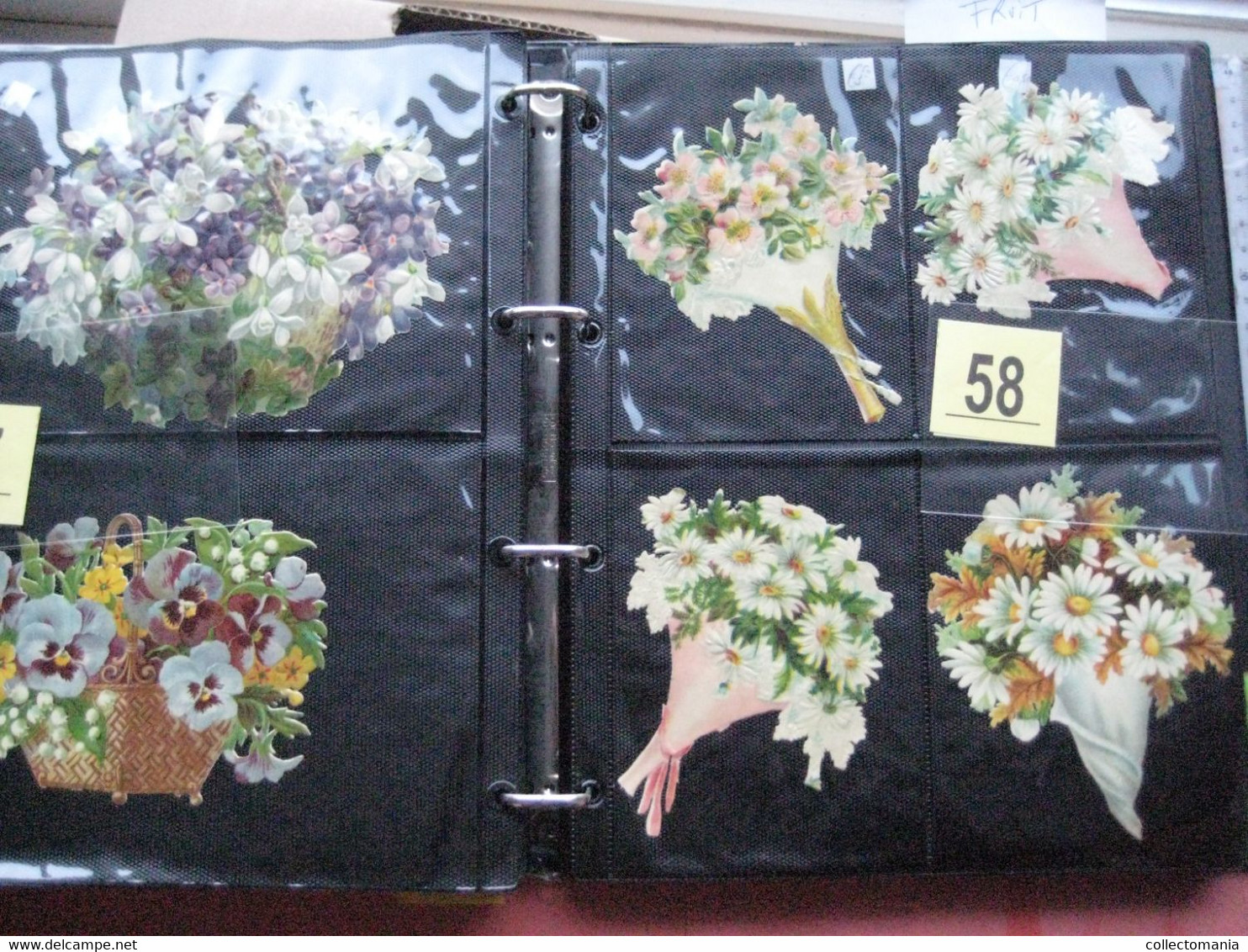 SCRAPS_MAP27 COLLECTION anno 1880 à 1900 Litho prints (count yourself ) Big FRUIT & Flowers Fleurs bloemen