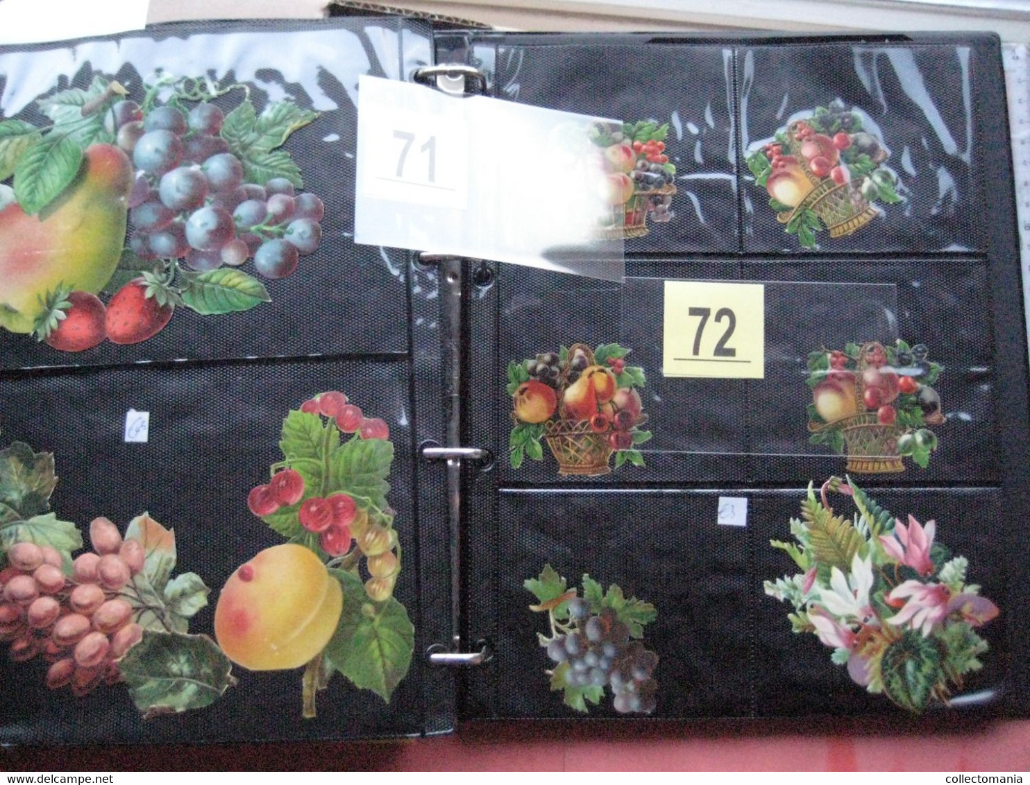 SCRAPS_MAP27 COLLECTION anno 1880 à 1900 Litho prints (count yourself ) Big FRUIT & Flowers Fleurs bloemen