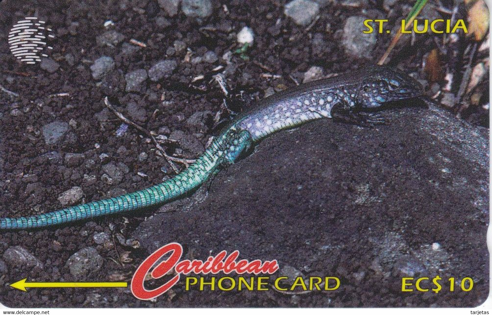 TARJETA DE ST. LUCIA DE UN LAGARTO (LIZARD) 137CSLA - St. Lucia