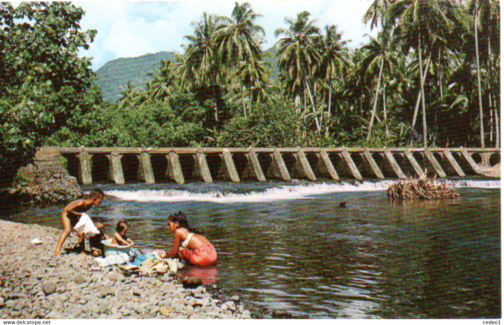 TAHITI   LES EAUX LIMPIDES DE LA RIVIERE DE TIARE - Polynésie Française