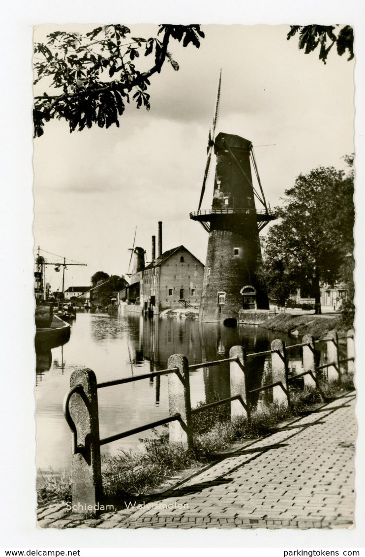 D587 - Schiedam Walvismolen - Molen - Moulin - Mill - Mühle - - Schiedam