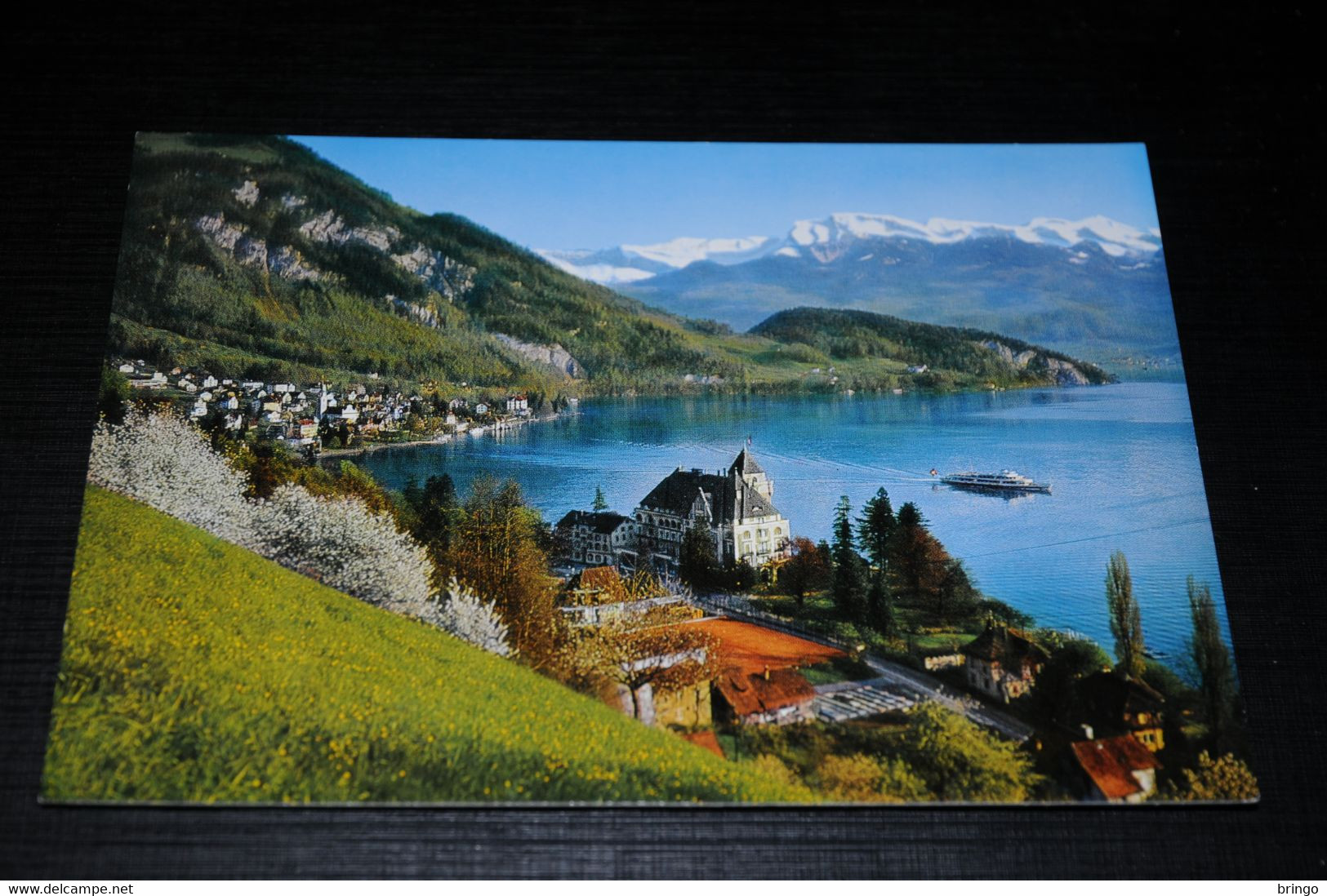 21514-                             VITZNAU AM VIERWALDSTÄTTERSEE, PARK-HOTEL - Autres & Non Classés