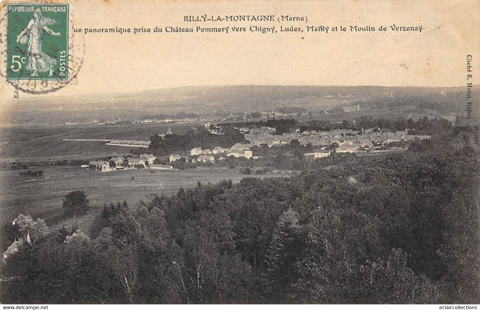 Rilly La Montagne      51       Vue Panoramique       (voir Scan) - Rilly-la-Montagne