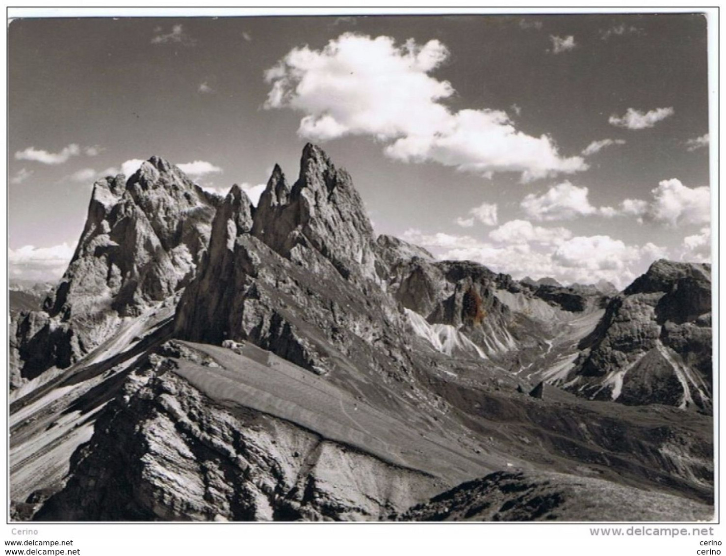 DOLOMITI (BL):  SASS  RIGAIS  E  CAMPANILI  DI  FERMEDA  -  FOTO  -  FG - Bergsteigen