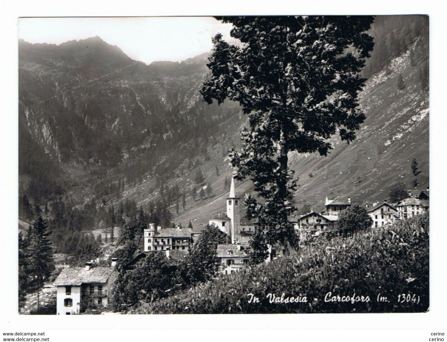 CARCOFORO:  IN  VALSESIA  -  PANORAMA  -  FOTO  -  FG - Vercelli