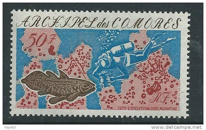 Comores N° 104 XX  Expédition "Coelacanthe" Sans Charnière TB - Unused Stamps