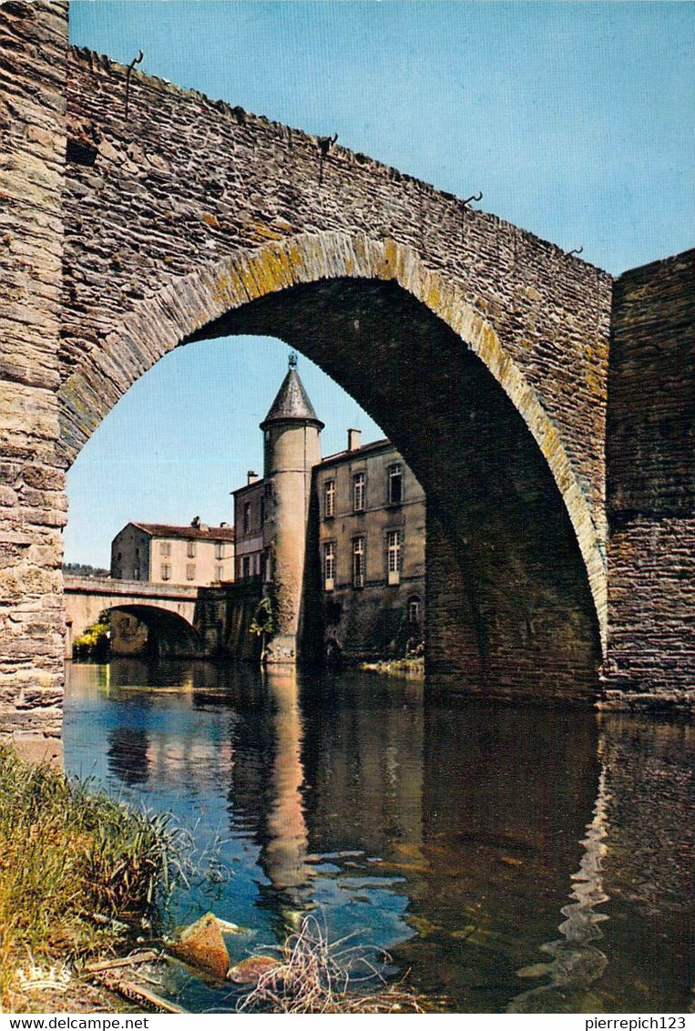 81 - Brassac - Le Vieux Pont (XIe Siècle) Sur L'Agout Et Le Château - Brassac