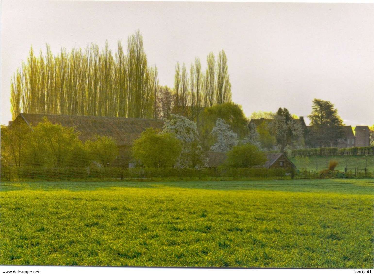 PK - Hoeselt - Vierkantshoeve Alt Hoeselt - Foto Henri Vertessen - Höselt