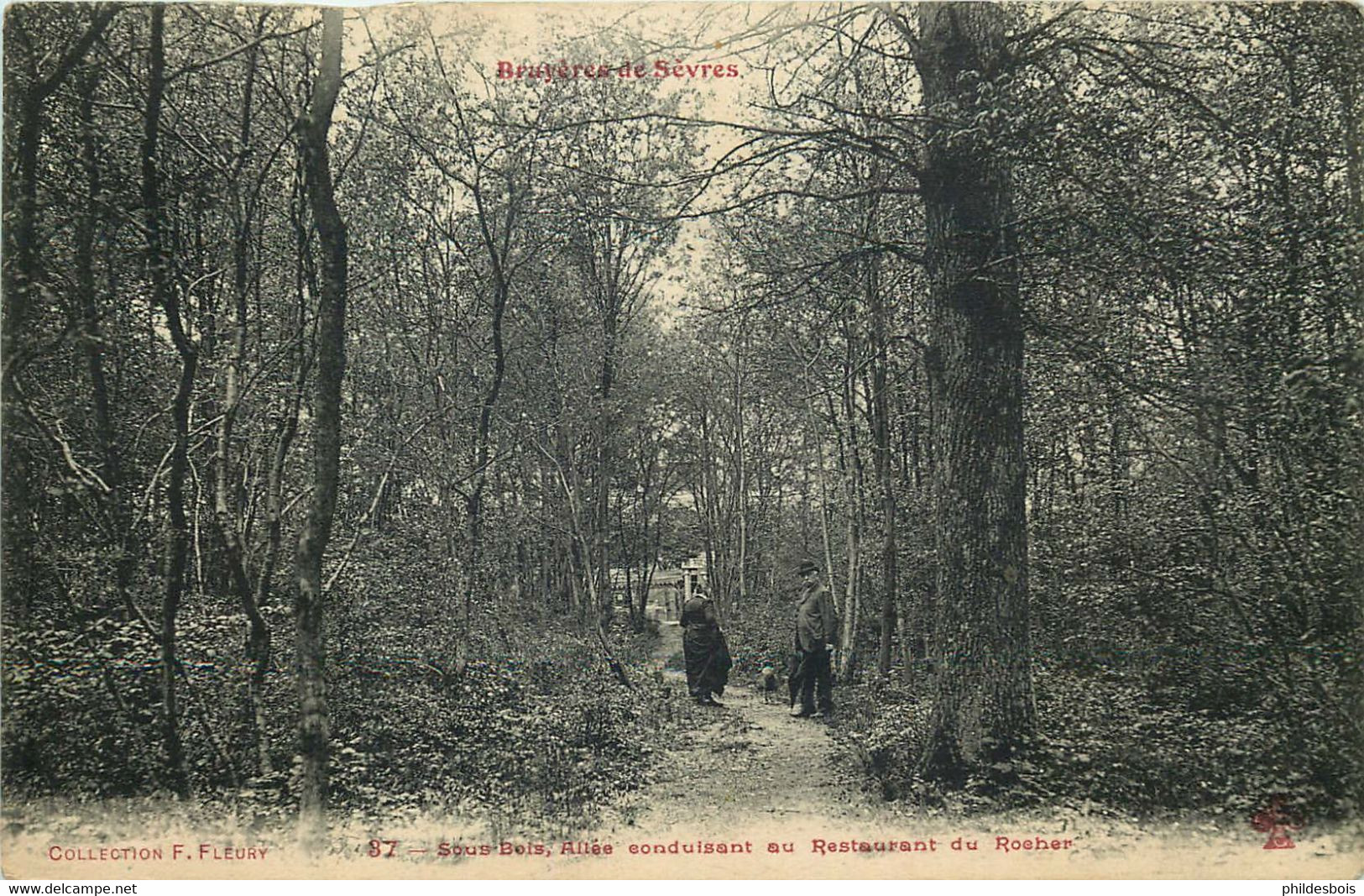 HAUTS DE SEINE   SEVRES  Bruyeres De Sevres  Allée Conduisant Au Restaurant Du Rocher - Sevres