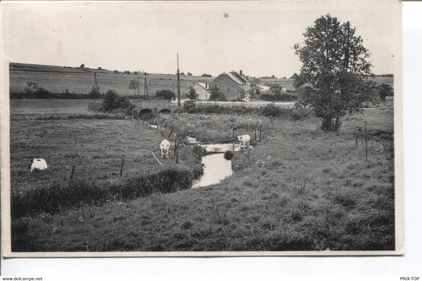 REF2579/ CP-PC Porcheresse En Ardennes Paysage Nature Ruisseau Moulin Enfants - Daverdisse