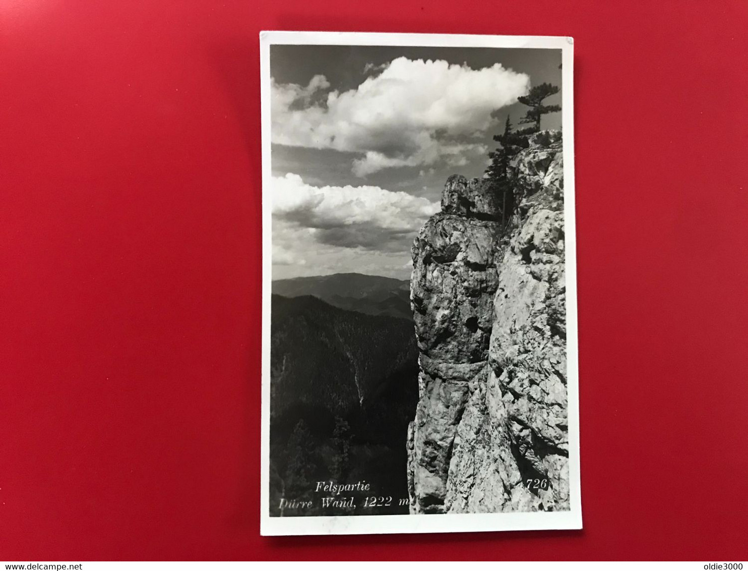 Hohe Wand Mit Dürren Wand Grünbach 3133 - Gutenstein