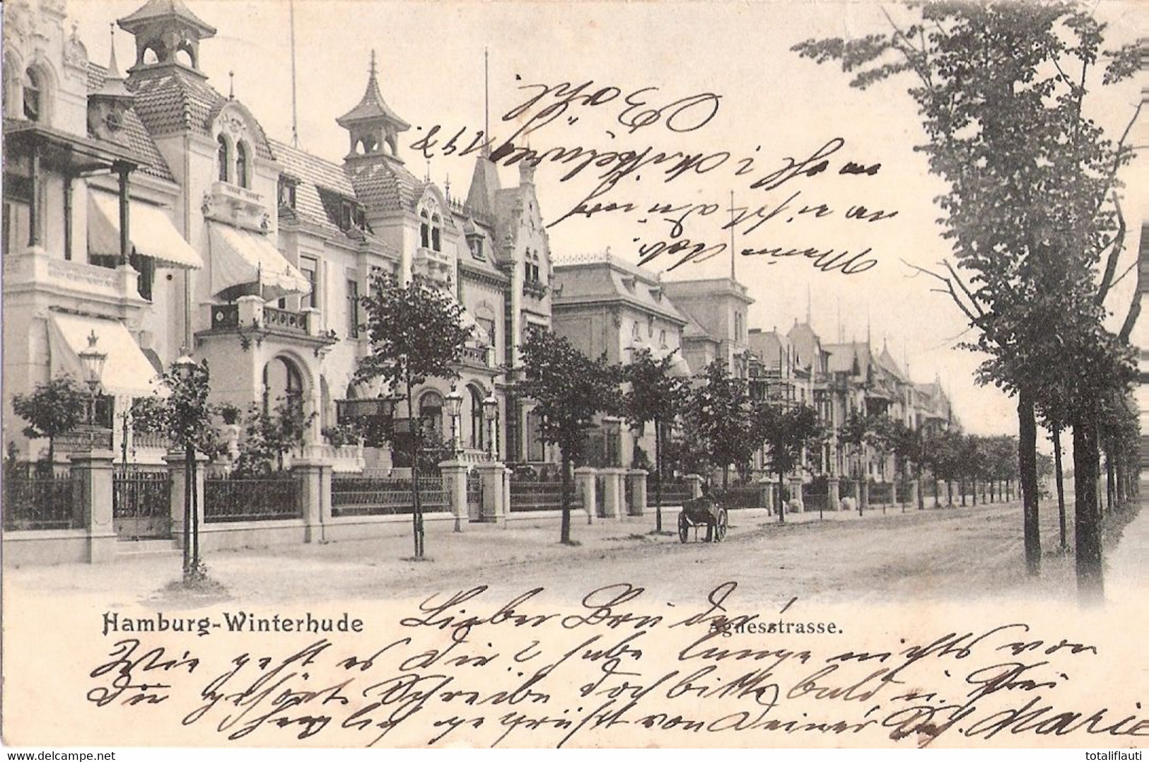 HAMBURG WINTERHUDE Agnesstrasse Straßenfeger Belebt Villenpartie 21.6.1905 Gelaufen - Winterhude