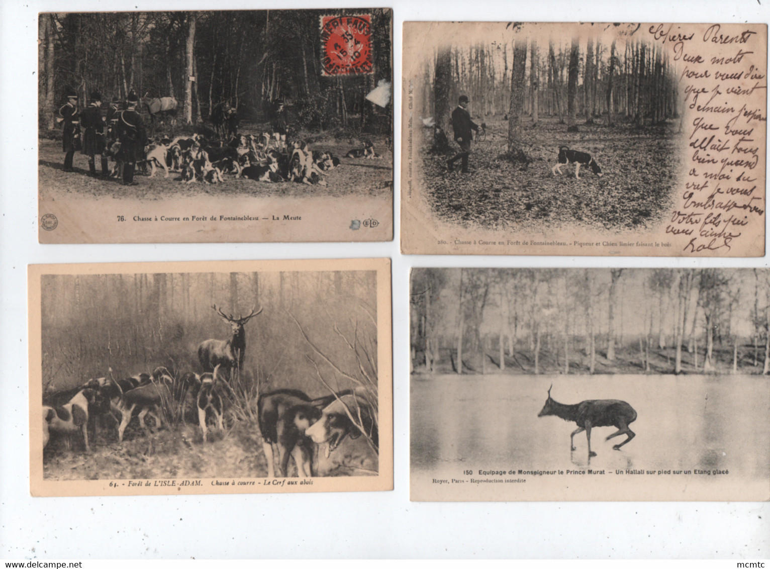 10 Cartes  - Chasse à Courre - Hunting