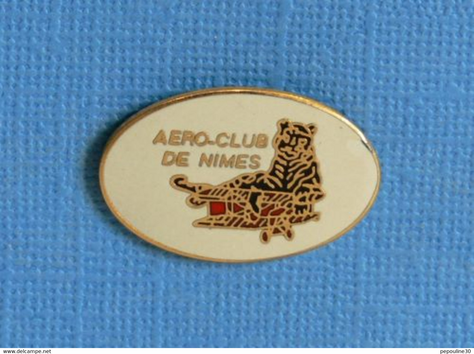 1 PIN'S //  ** AÉROCLUB DE NIMES / OCCITANIE ** - Avions