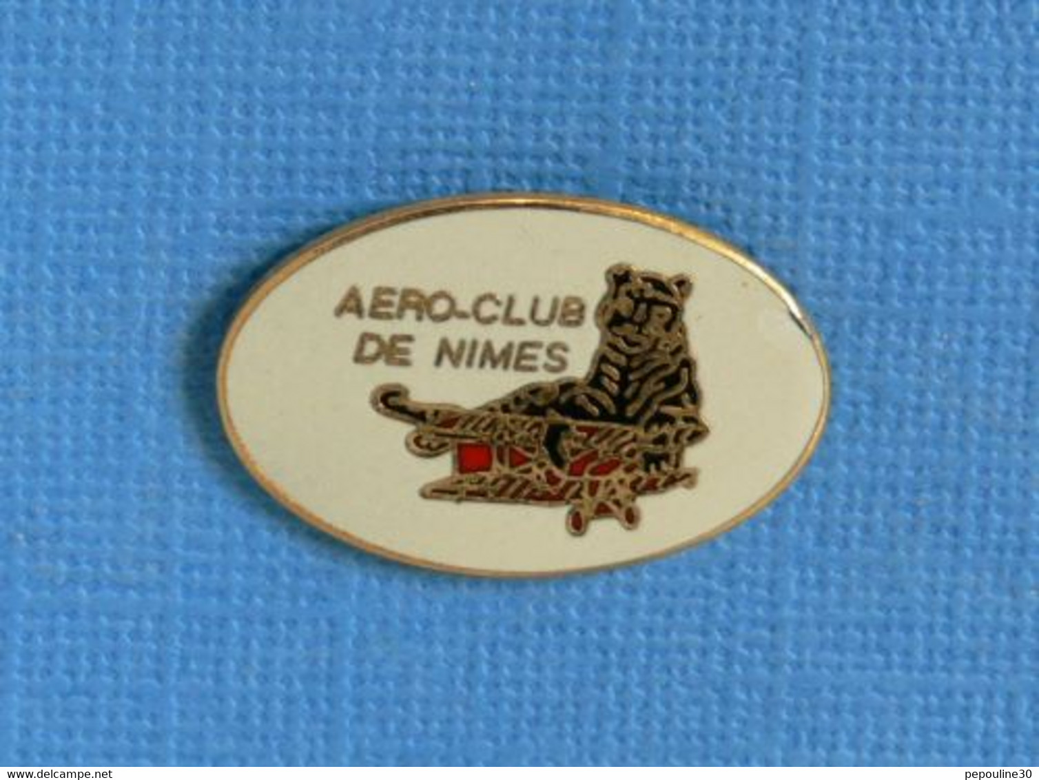 1 PIN'S //  ** AÉROCLUB DE NIMES / OCCITANIE ** - Avions