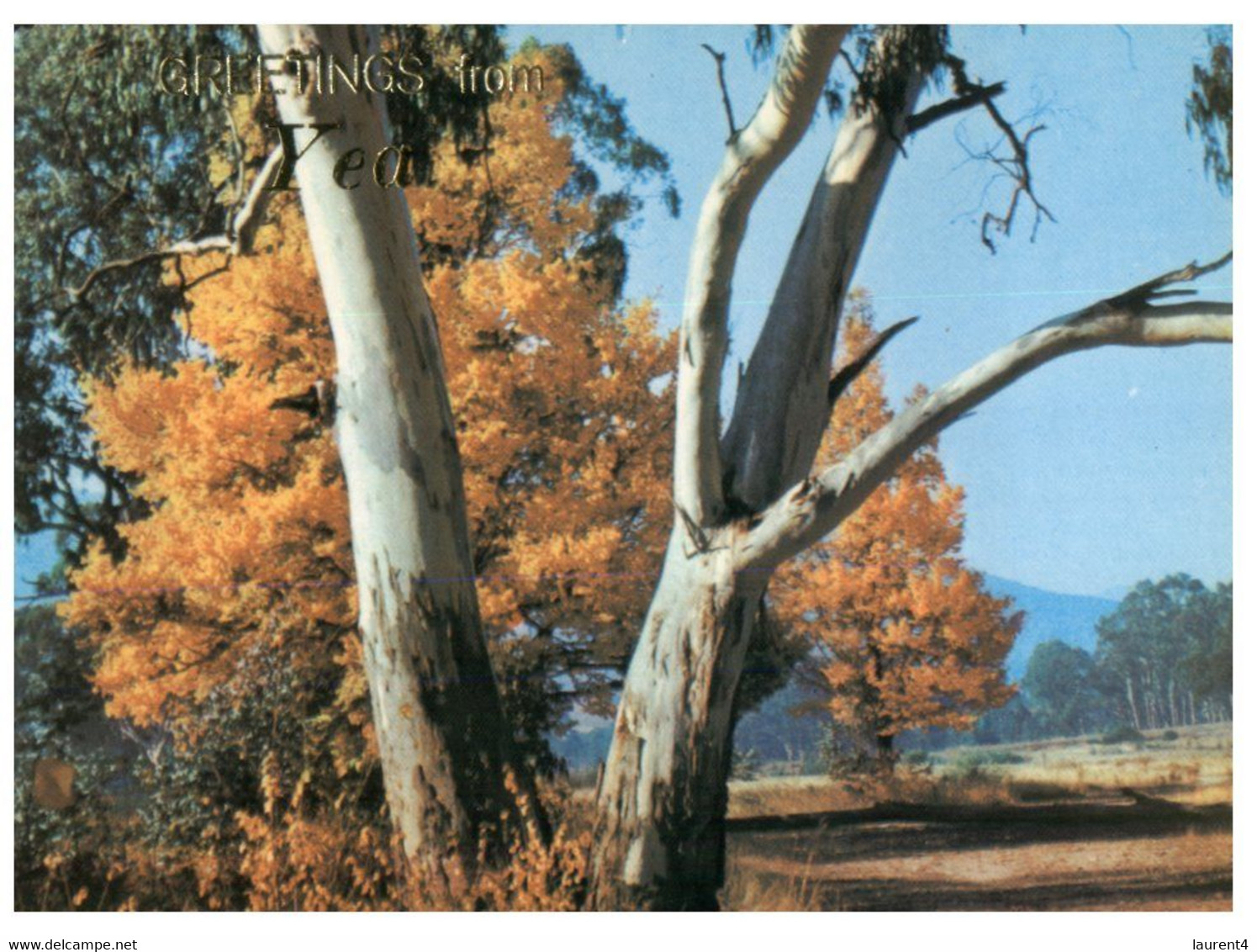 (Z 14) Australia - Rural Scene (P0027-2) - Outback