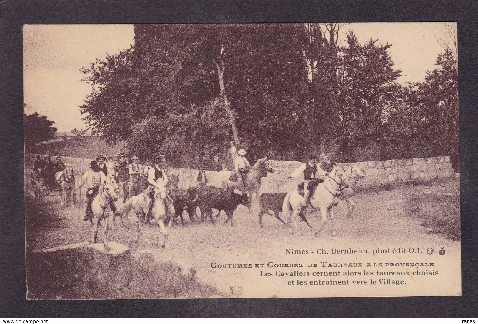 CPA Provence Taureaux Gardian Camargue éditeur Bernheim Nîmes Non Circulé - Provence-Alpes-Côte D'Azur