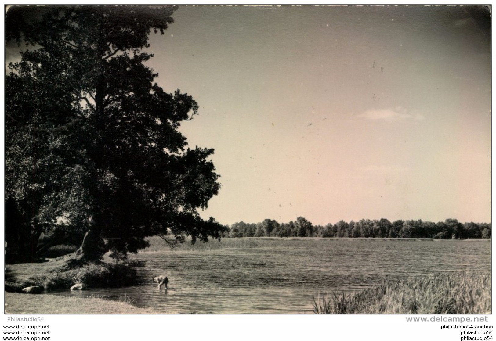 Brandenburg : 1957, Postkarte Posthilfsstelle "Kolberg über Königs Wusterhausen" - Franking Machines (EMA)