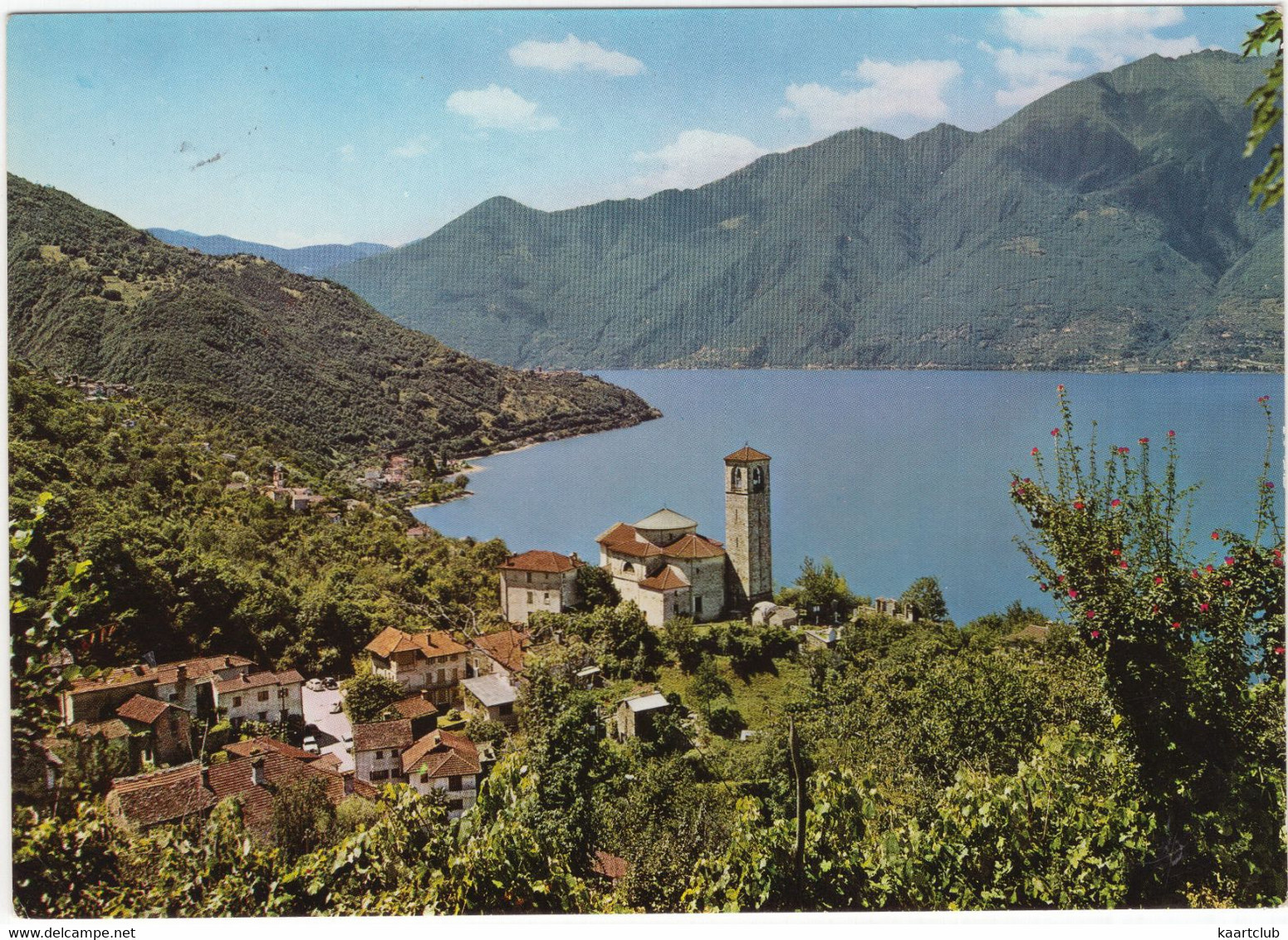 S. Abbondio - Gambarogno - Panorama Verso Pino - (Lago Maggiore) - 1967 - (CH) - Gambarogno