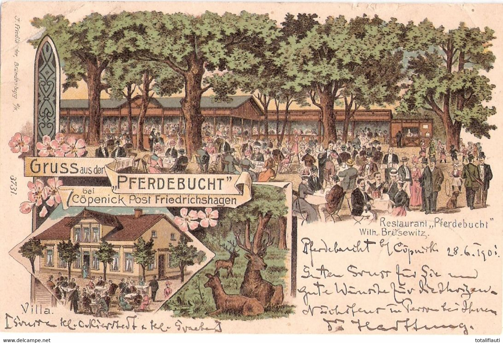 Berlin Gruss Aus Der Pferdebucht Inh Wilh Brüsewitz KÖPENICK Post Friedrichshagen Color Litho 29.6.1901 Gelaufen - Koepenick