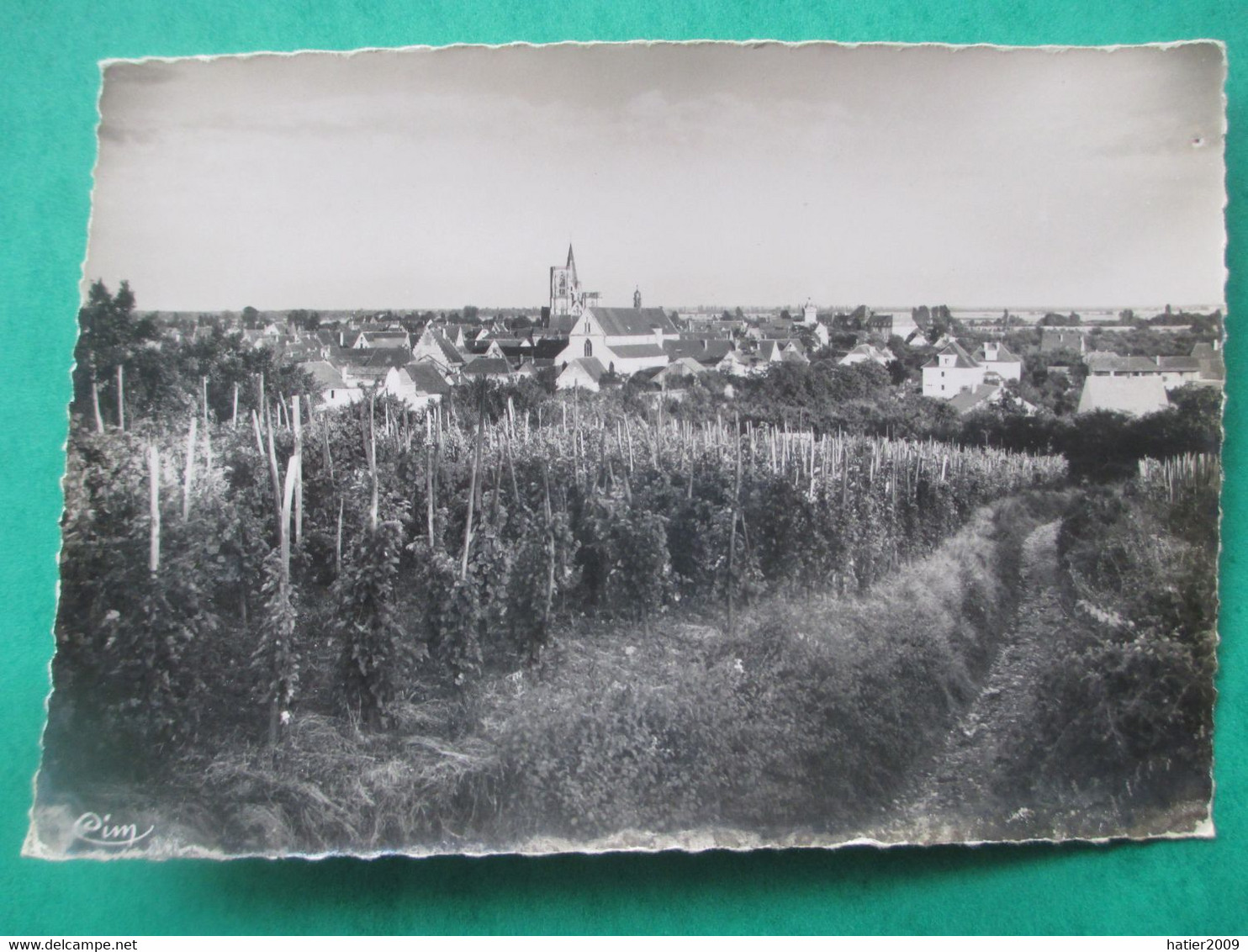 Carte Photo  ROUFFACH - Vue Générale Et Les Vignobles - Rouffach