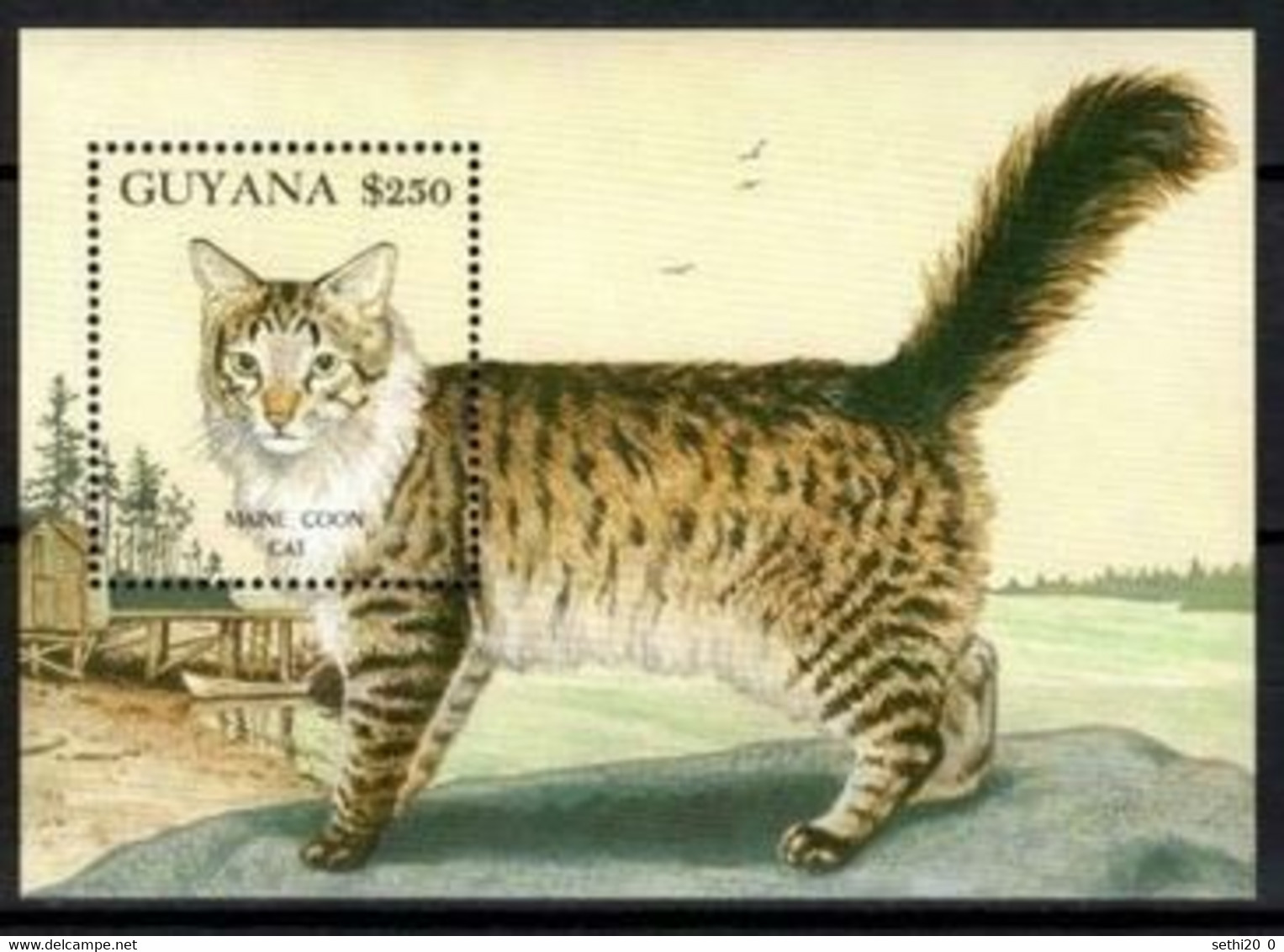 Guyane Cats Chats MNH - Altri & Non Classificati