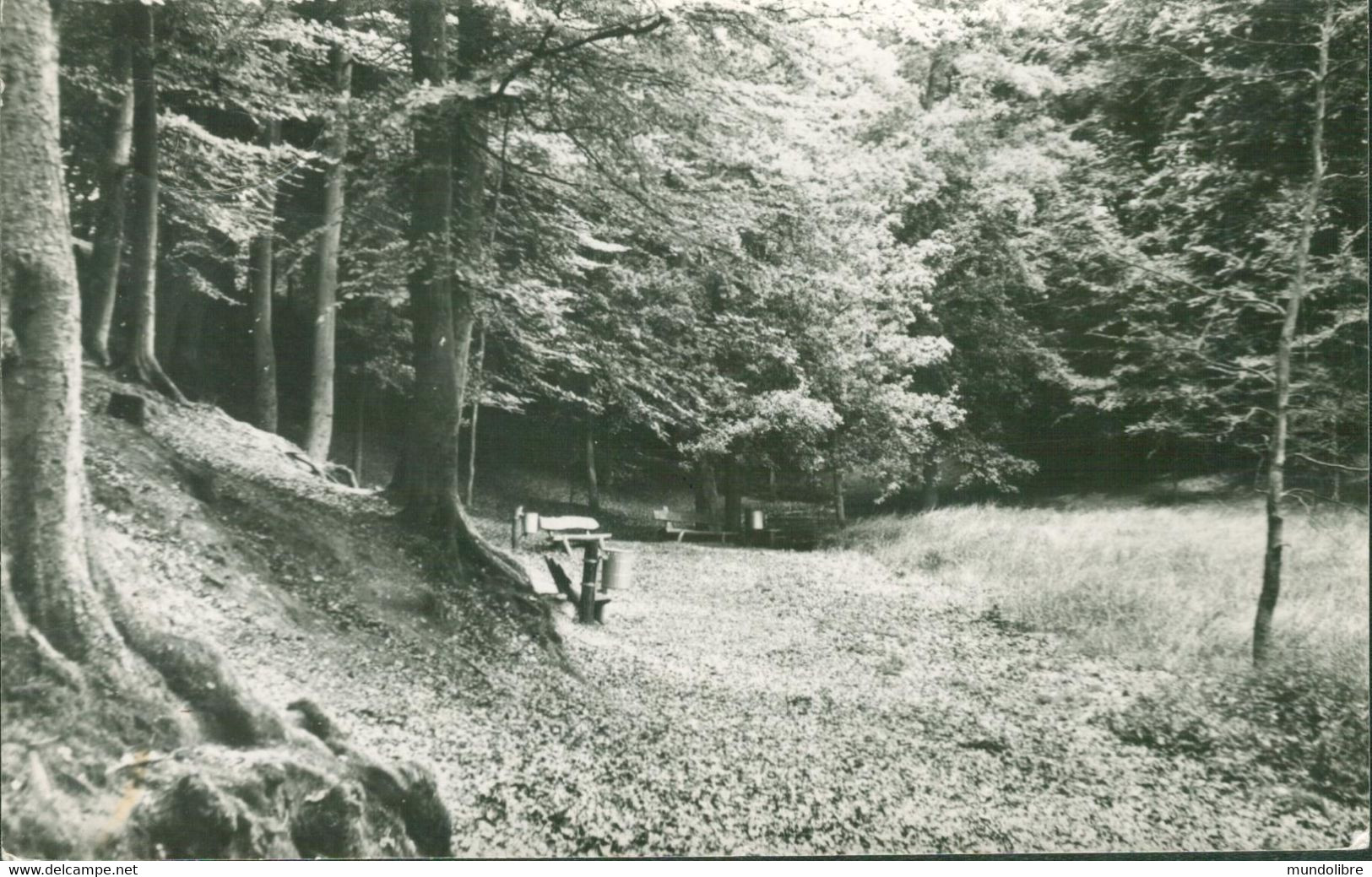 Echtfotokarte Im Kleinformat - Niederlande, ERMELO, 't Solse Gat - Ermelo