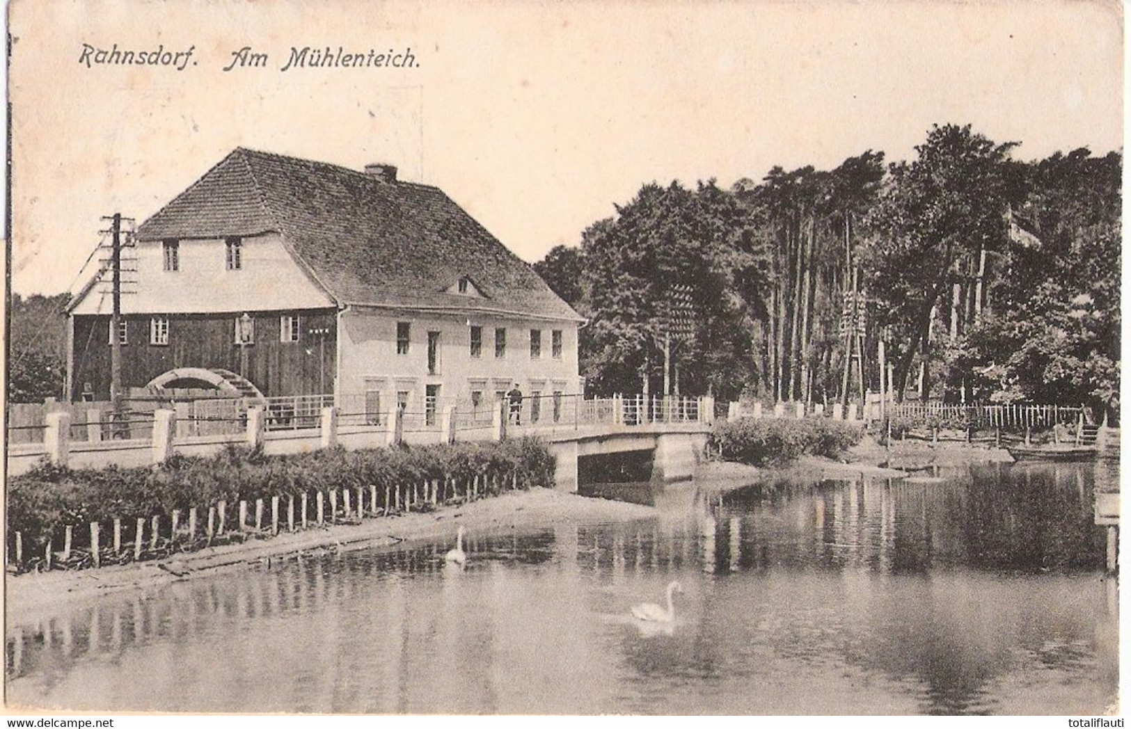 Berlin RAHNSDORF Am Mühlenteich Idylle Mit Schwan Dahinter Die Wassermühle 1918 - Koepenick