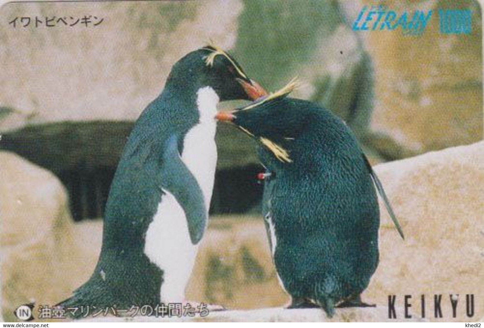 Carte Prépayée JAPON - ANIMAL - MANCHOT GORFOU - Pingouin - ROCKHOPPER PENGUIN BIRD JAPAN Prepaid Keikyu Card - 5315 - Pinguine