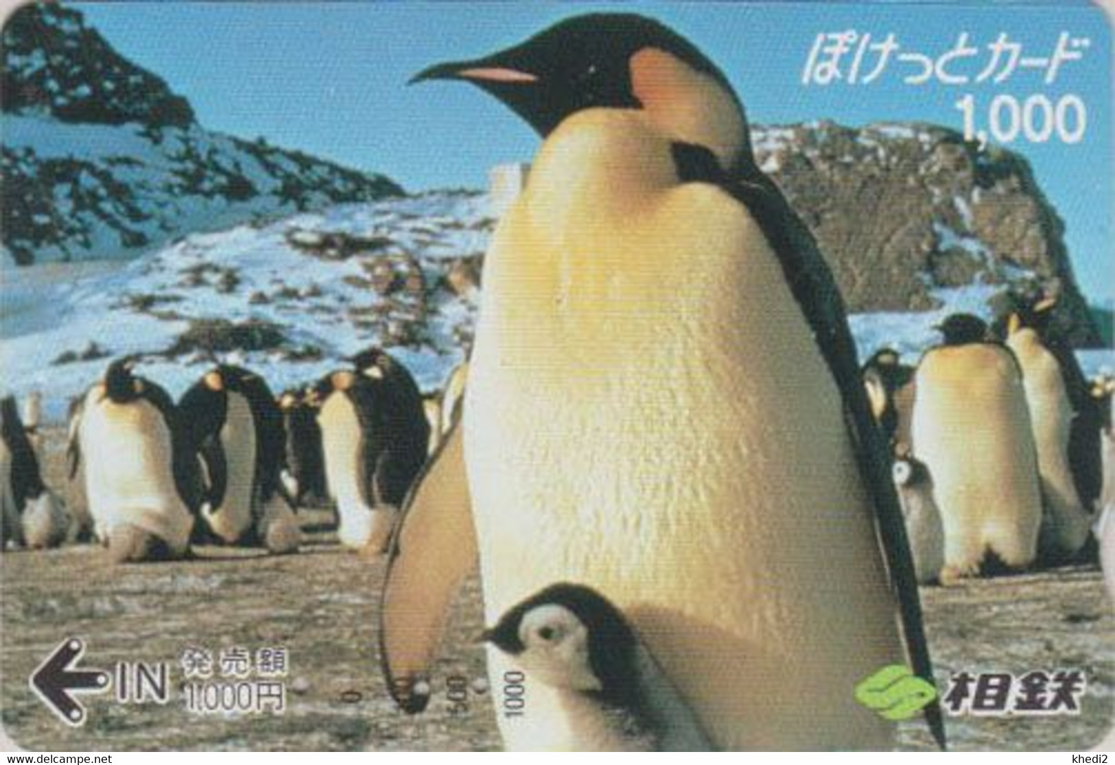 Carte Prépayée JAPON - ANIMAL - OISEAU - MANCHOT  PINGOUIN - EMPEROR PENGUIN BIRD JAPAN Prepaid Sotetsu Card - 5318 - Pinguine