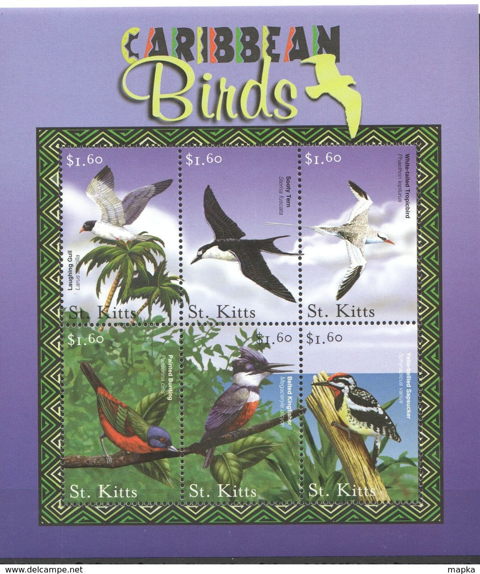 PK147 ST.KITTS FAUNA CARIBBEAN BIRDS 1KB MNH - Other & Unclassified