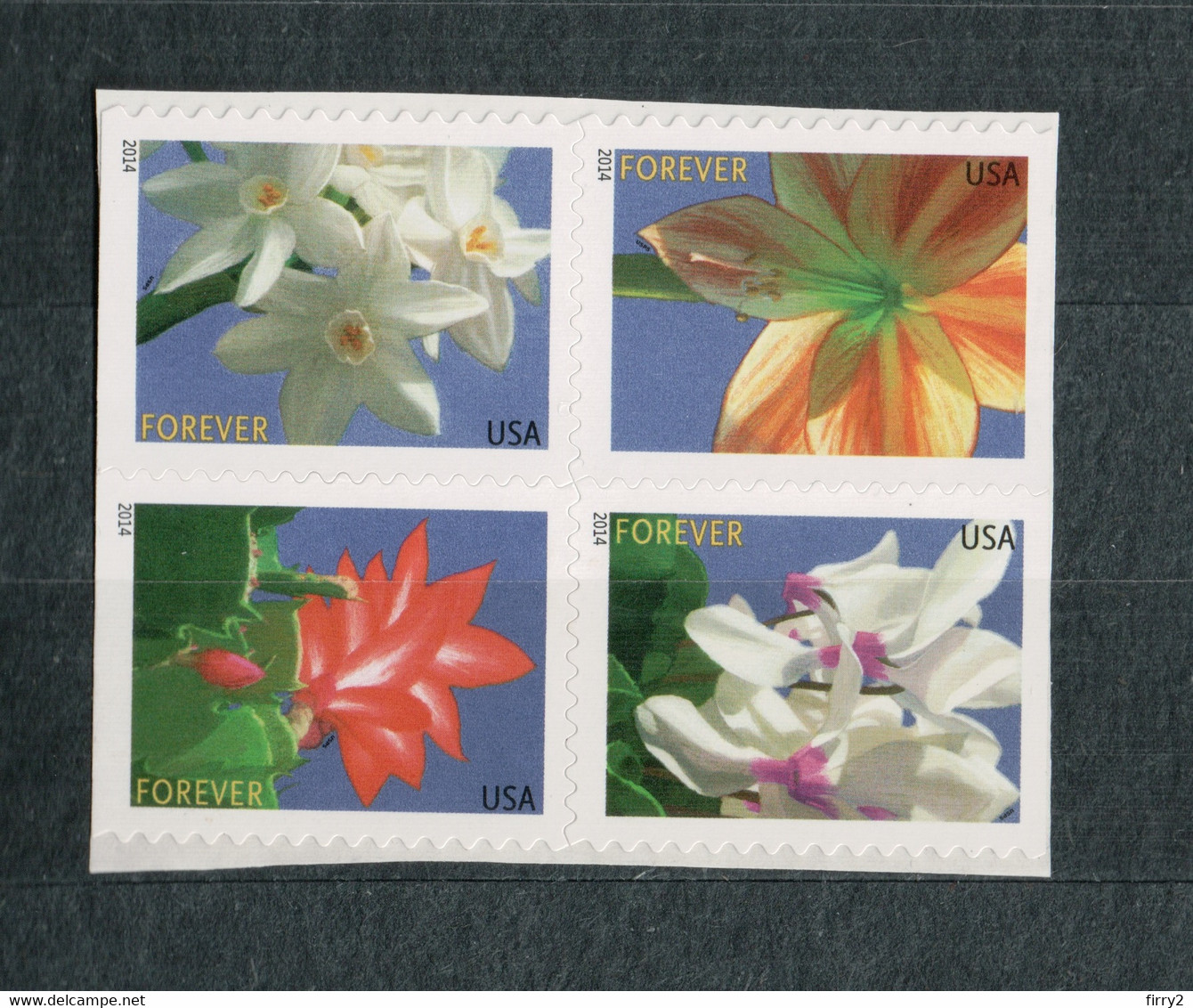 USA Scott #  4862 - 4865   2014  49 C  Winter Flowers  (4865a)              Mint NH  (MNH) - Unused Stamps