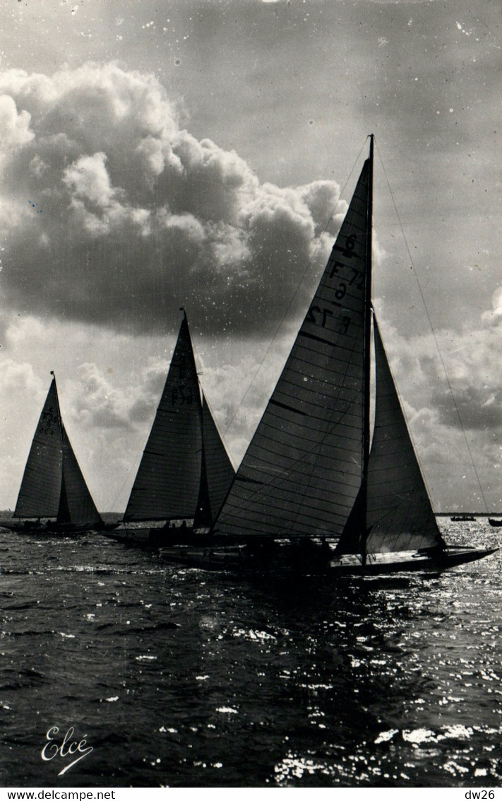 Bassin D'Arcachon (Gironde) Régates Sur Le Bassin (Quillards 6m) Edition L. Chaigneau, Carte Elce N° 1000 - Vela