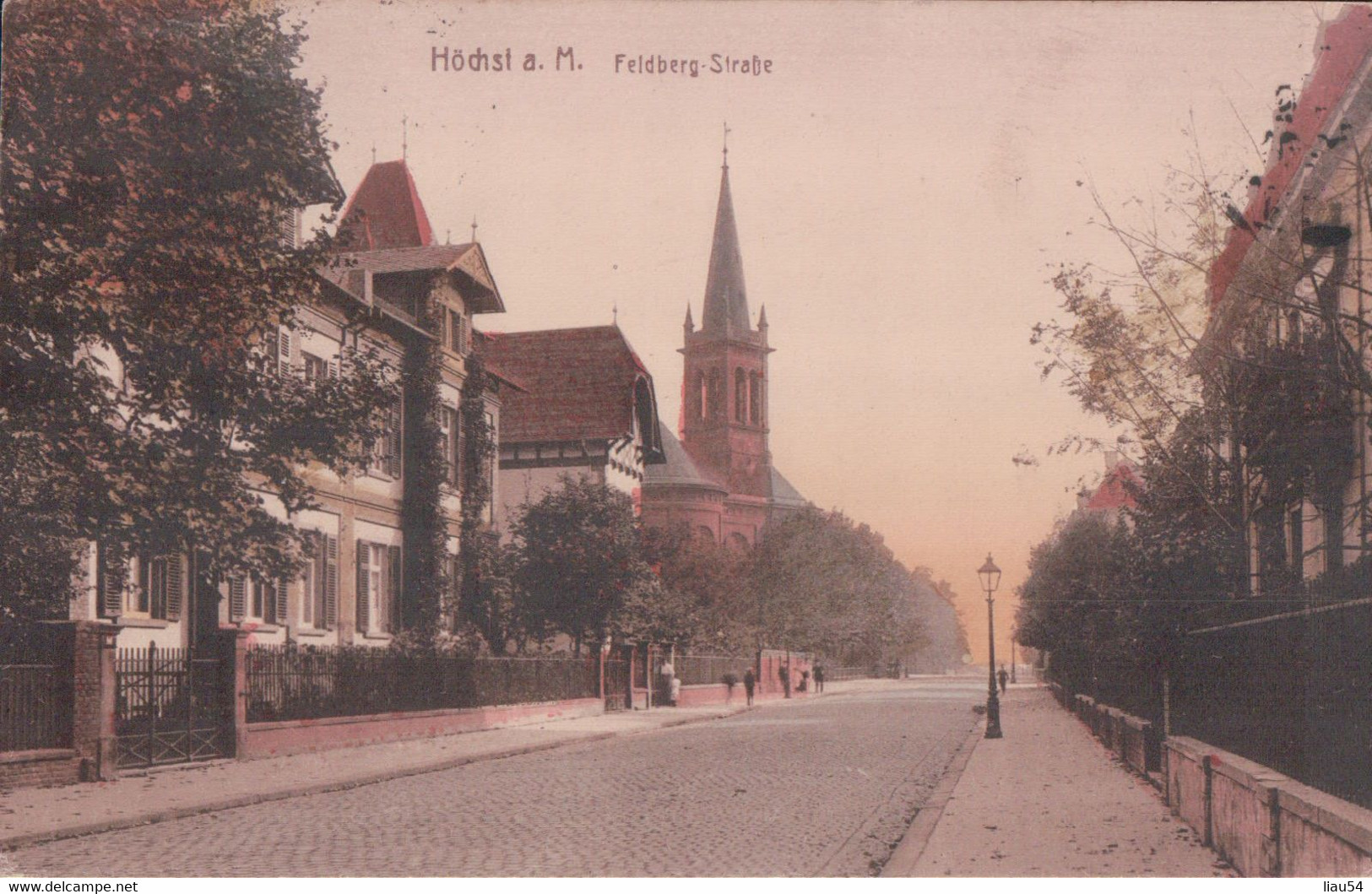 Höchst A. M. Feldberg-Strasse (1919, Cachet TRESOR ET POSTES) - Hoechst