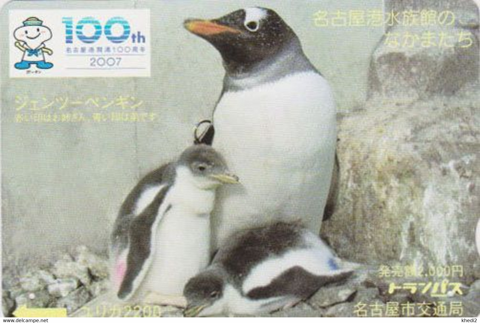 RARE Carte JAPON - ANIMAL - OISEAU - MANCHOT PAPOU - GENTOO PENGUIN BIRD JAPAN Prepaid Bus Card - BE 5327 - Pinguins