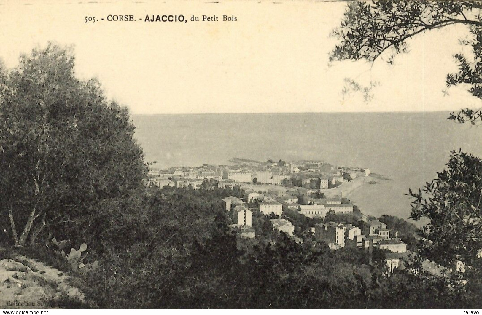 CORSE -  AJACCIO  Vu Du Petit Bois Des Anglais (Salario) - Ajaccio