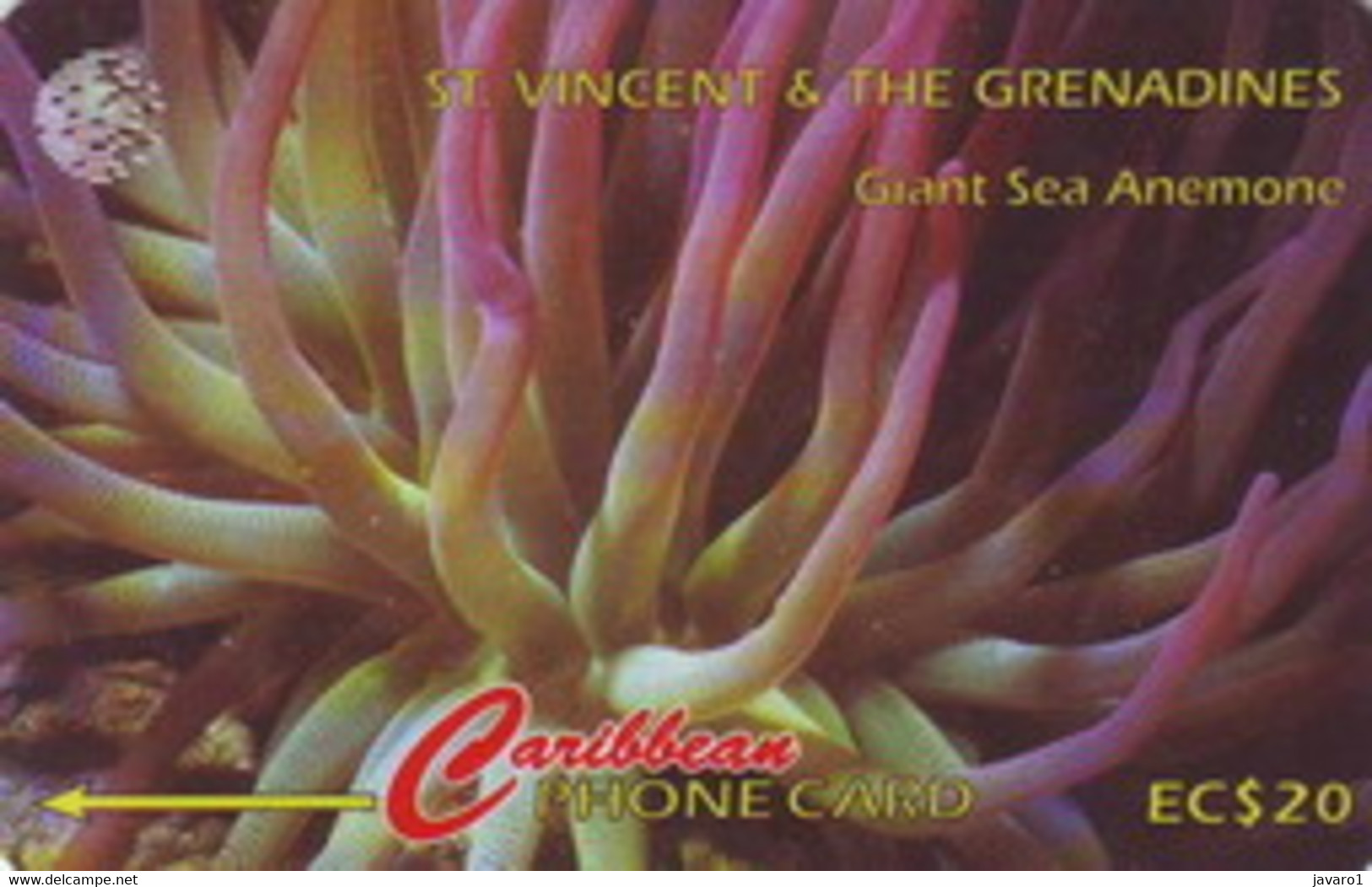 STVINCENT : 101B 20 Giant Sea Anemone USED - St. Vincent & The Grenadines