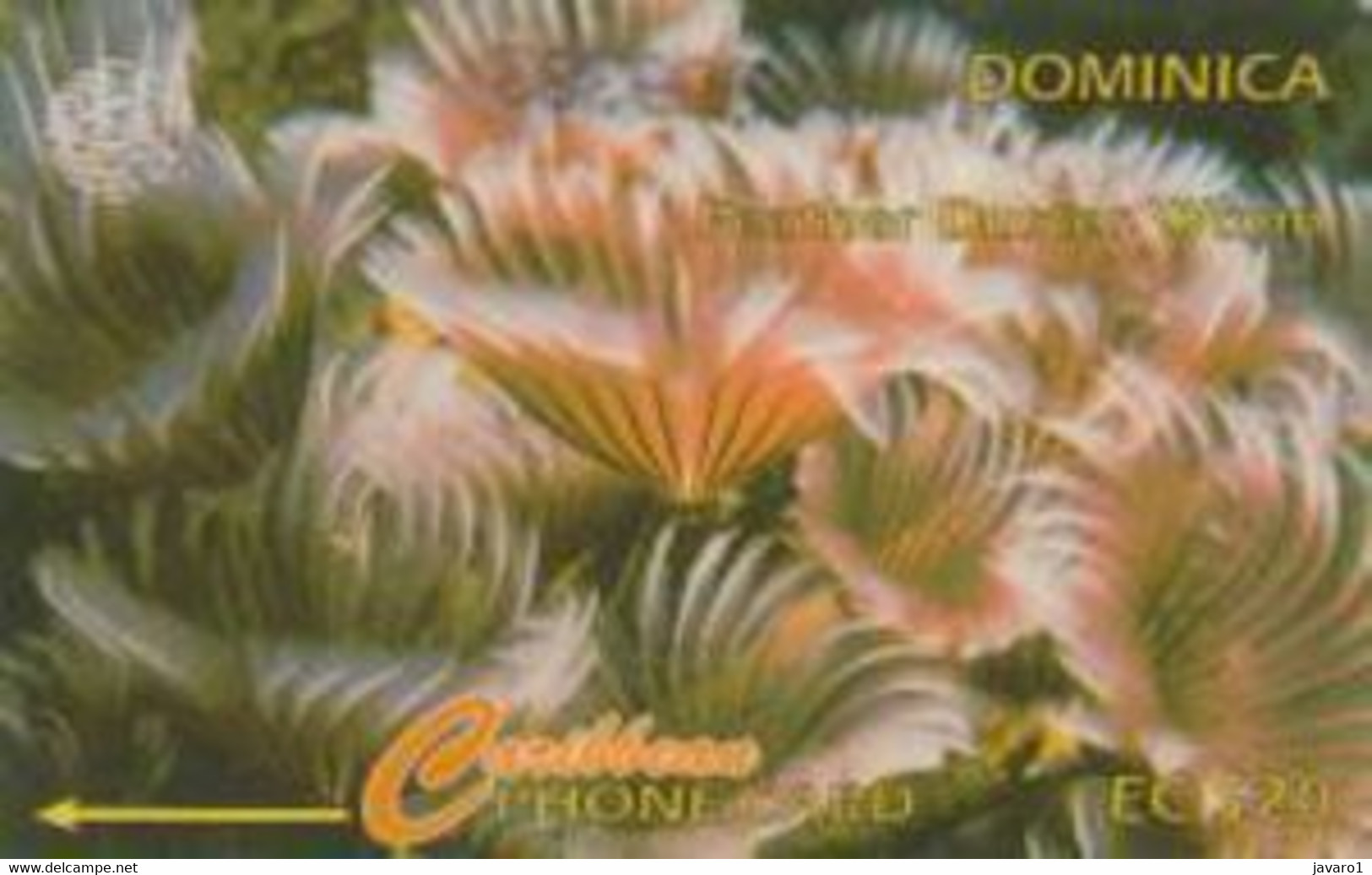 DOMINICA : 009G EC$20 Feather Duster Worm DUMMY No Control MINT - Dominique