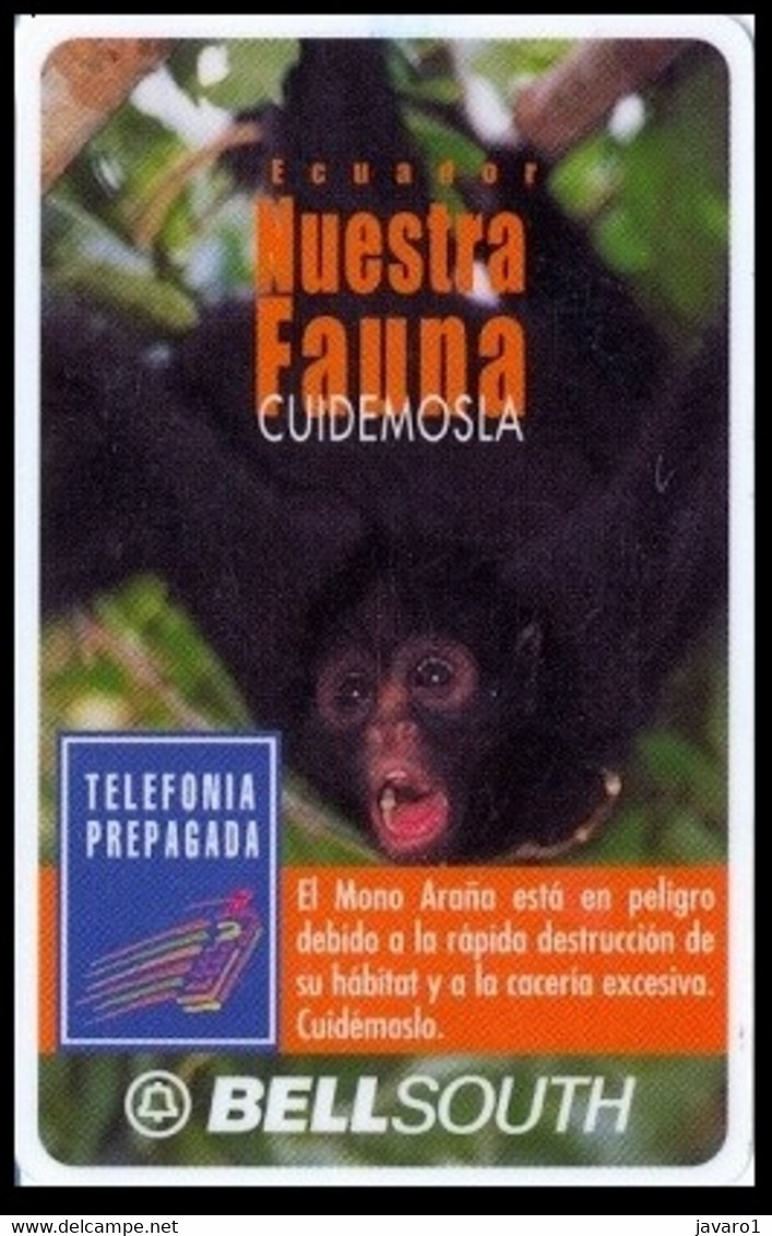 ECUADOR : BSP102A 100 SPIDER MONKEY White Frame 2 Lines Bottom 11/00 USED - Ecuador