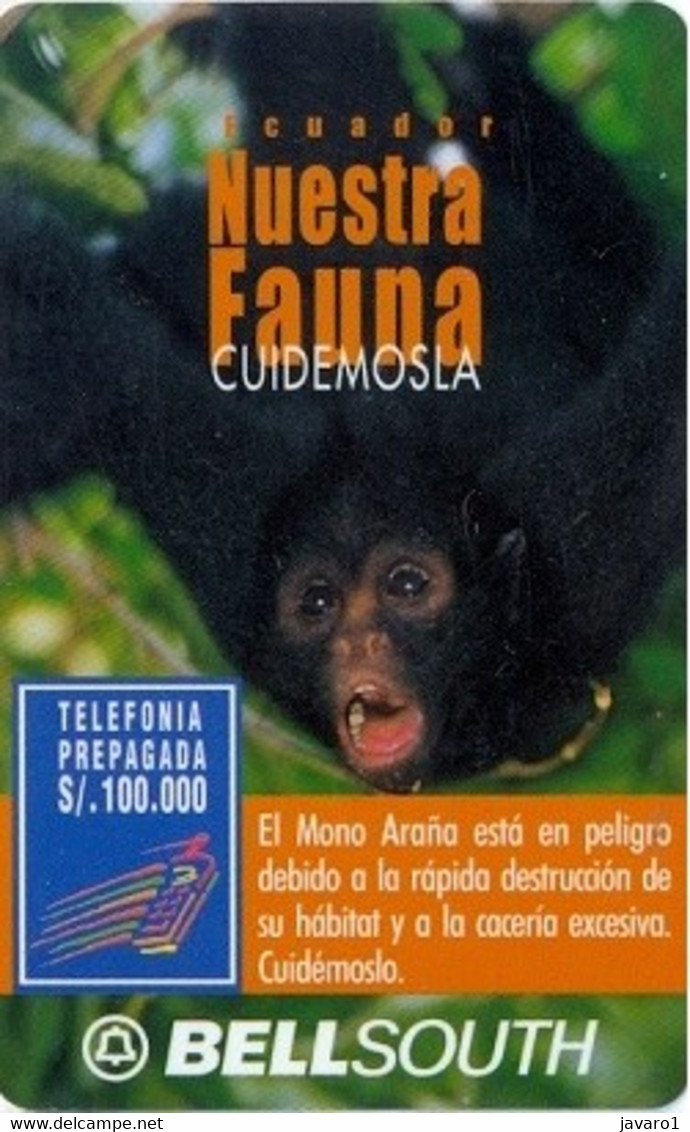 ECUADOR : BSP102E 100 SPIDER MONKEY 45 Days USED - Ecuador